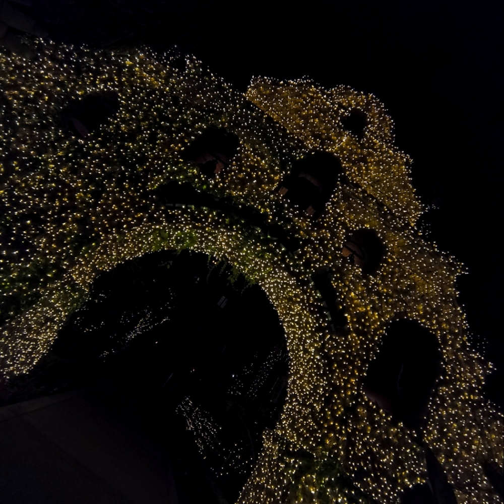 Meet your Posher, Leiah